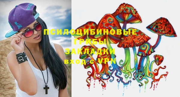 ПСИЛОЦИБИНОВЫЕ ГРИБЫ Беломорск