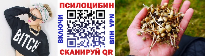 Галлюциногенные грибы Cubensis  цены   Семилуки 